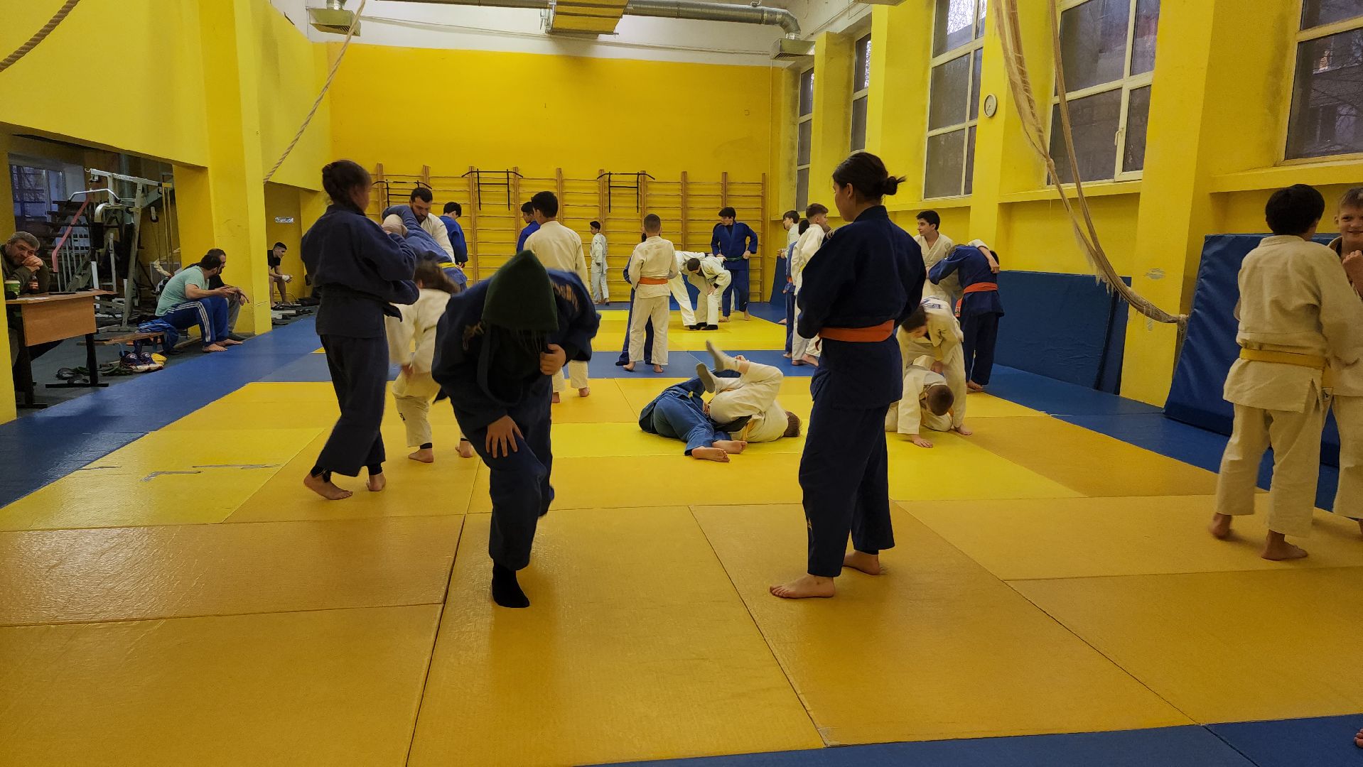 Дзюдо, Спорт , Лобня,