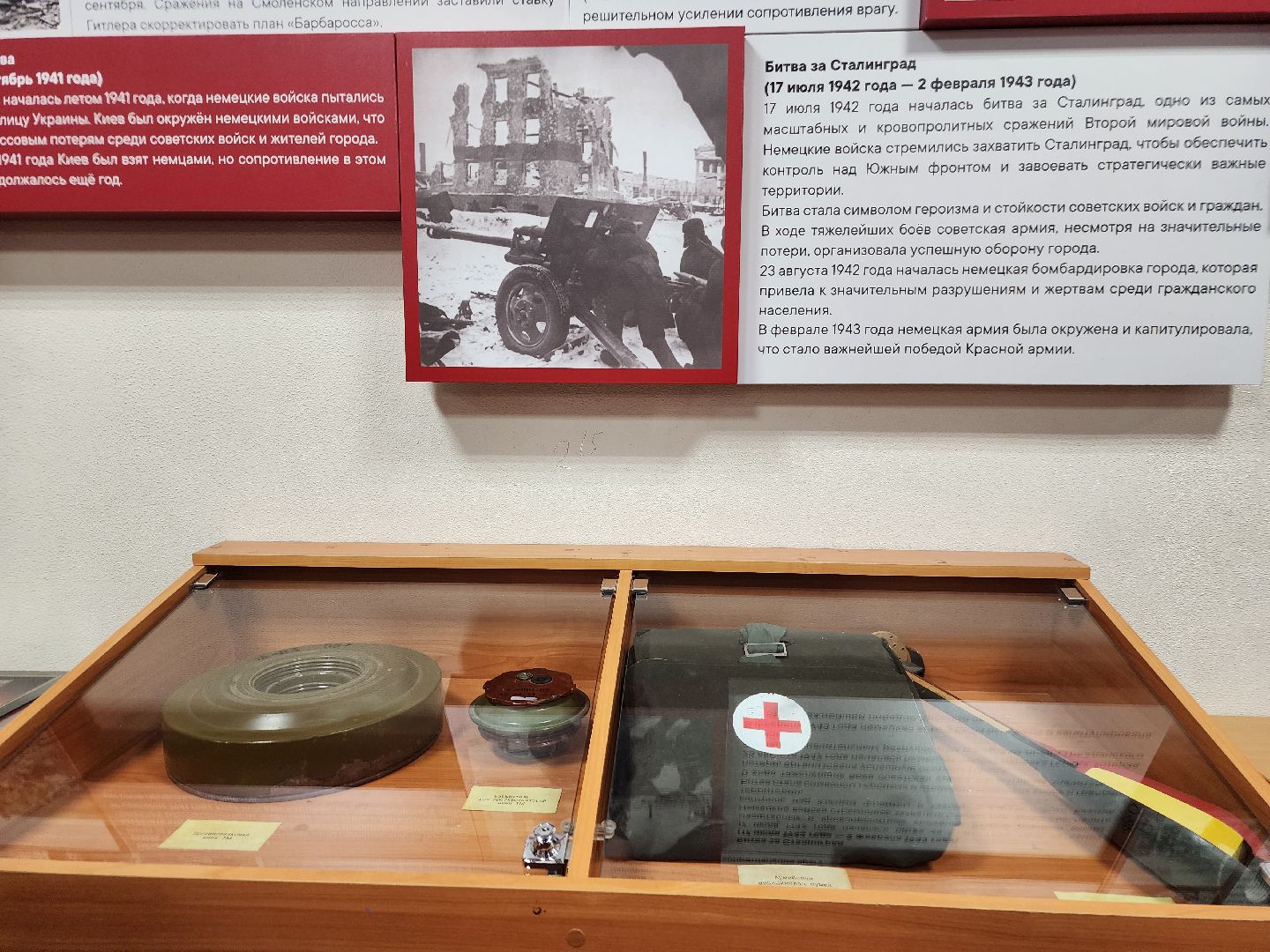 фрязино, открытие выставки, 80-летие победы, ветеран вов, день победы,