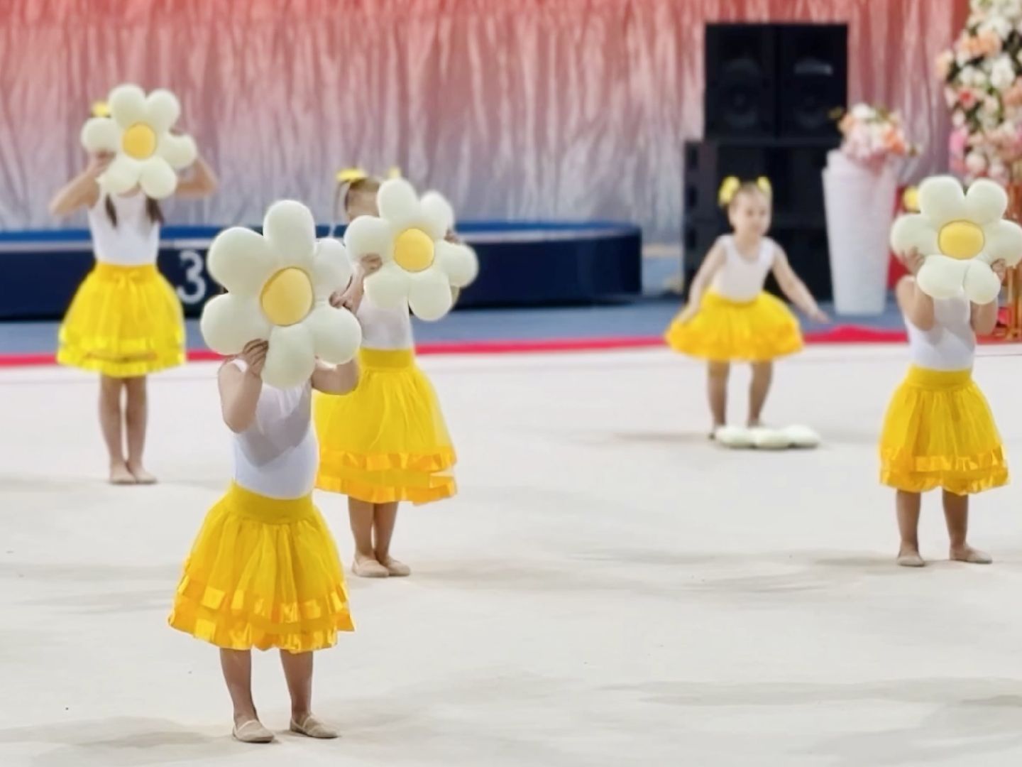 раменское, гимнастика, художественная гимнастика,