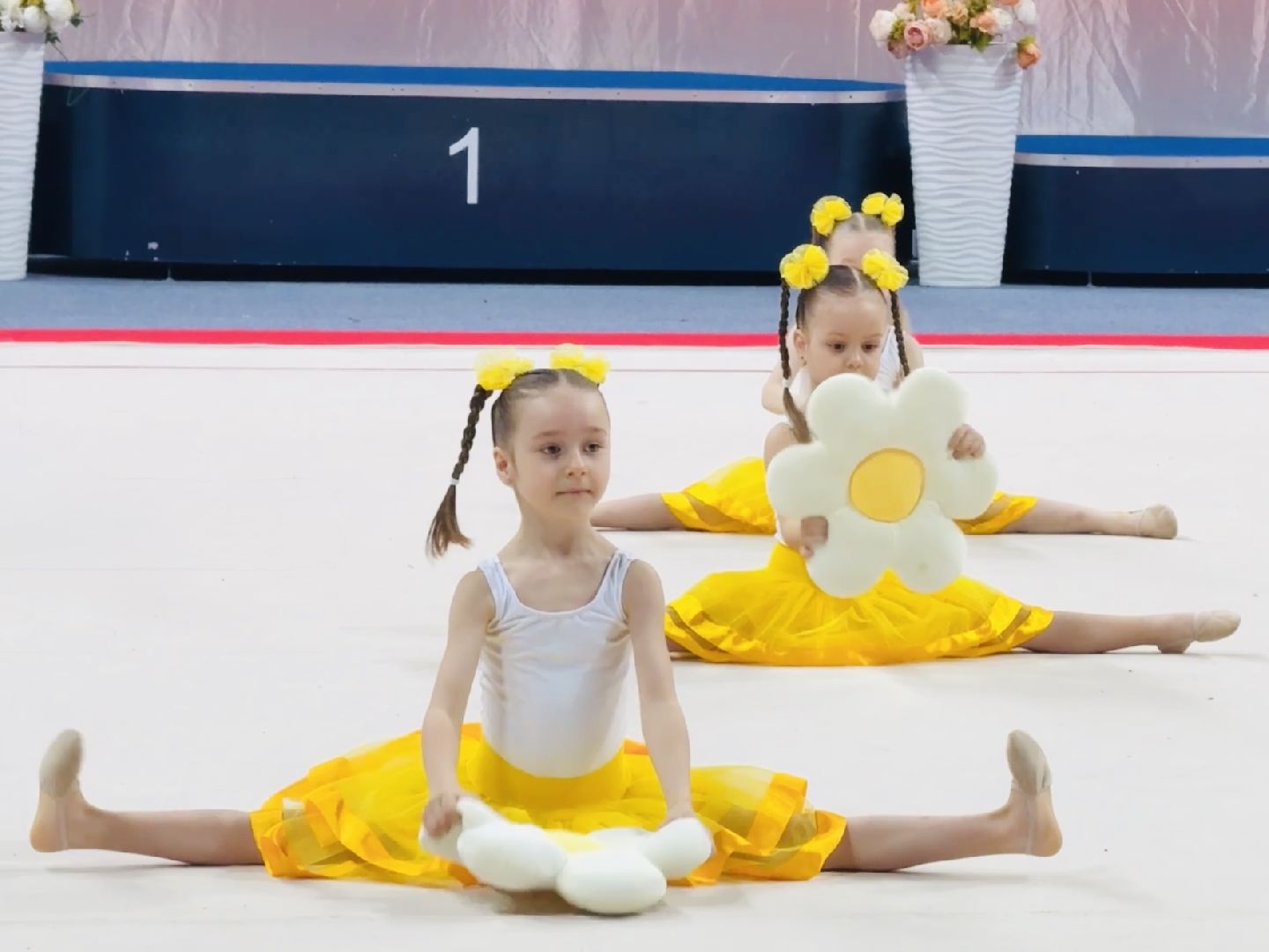 раменское, гимнастика, художественная гимнастика,