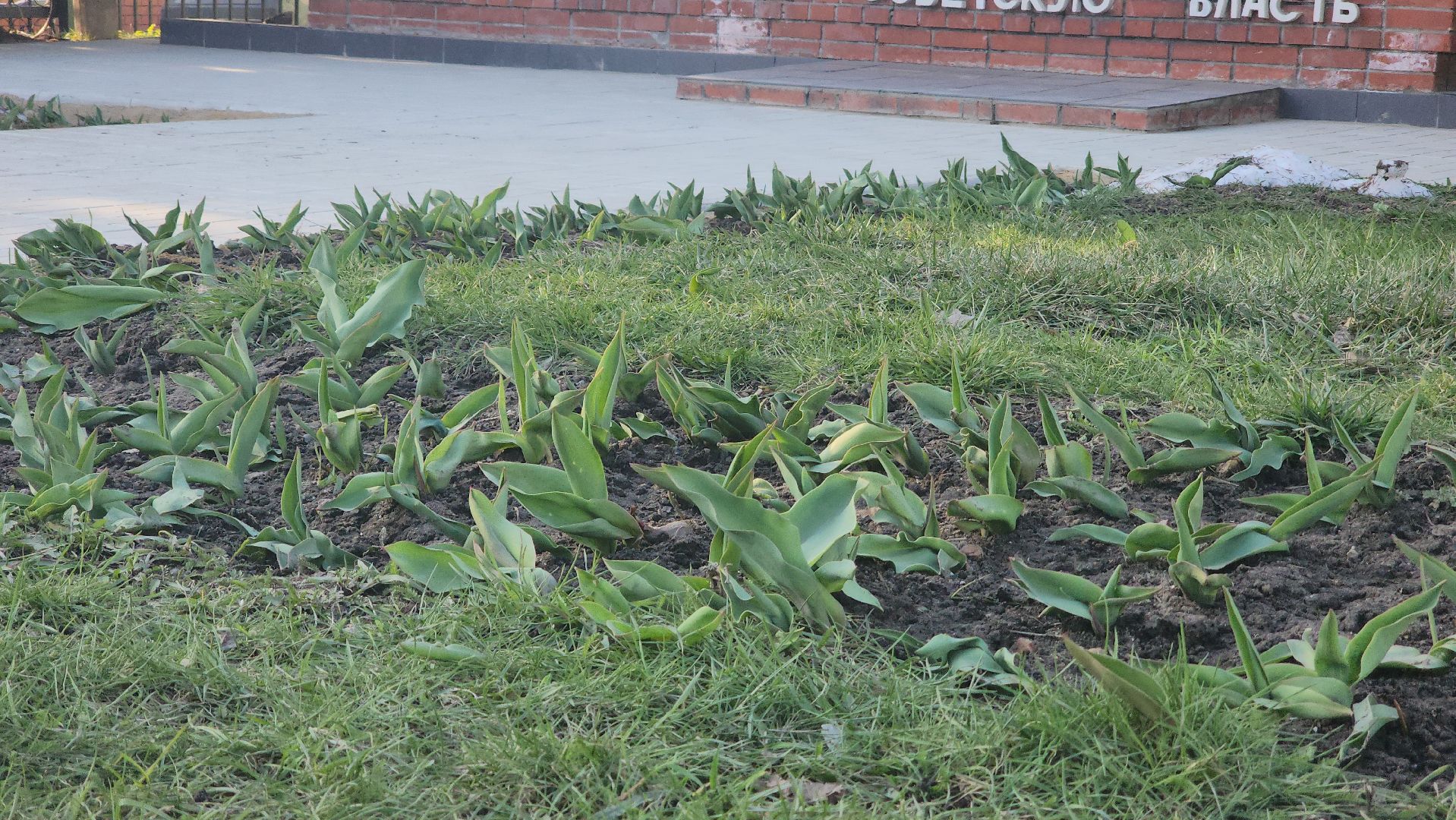 павловский  посад, памятник , благоустройство ,