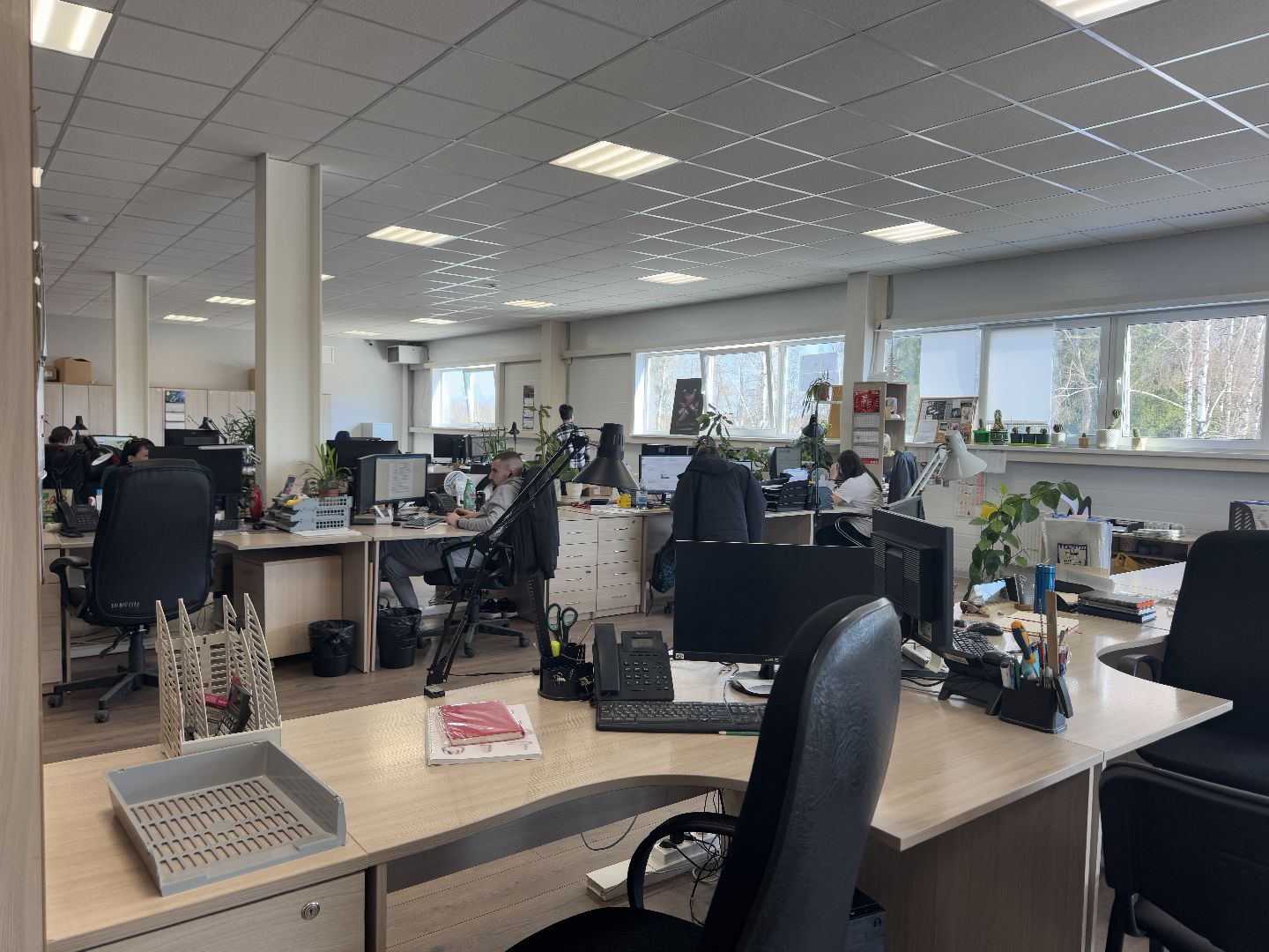 шаховская, бизнес, предприятие,