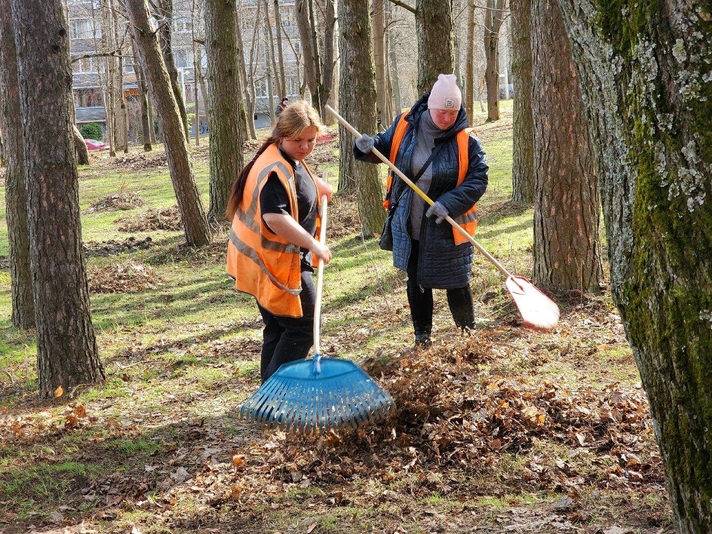 пущино, серпухов, благоустройсво, места памяти,