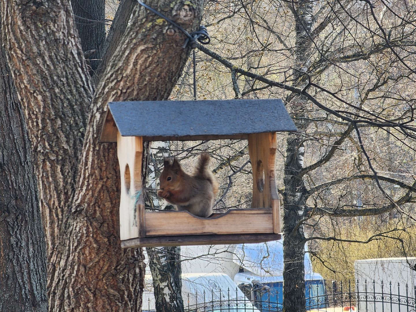 подольск, музей подолье, белки,