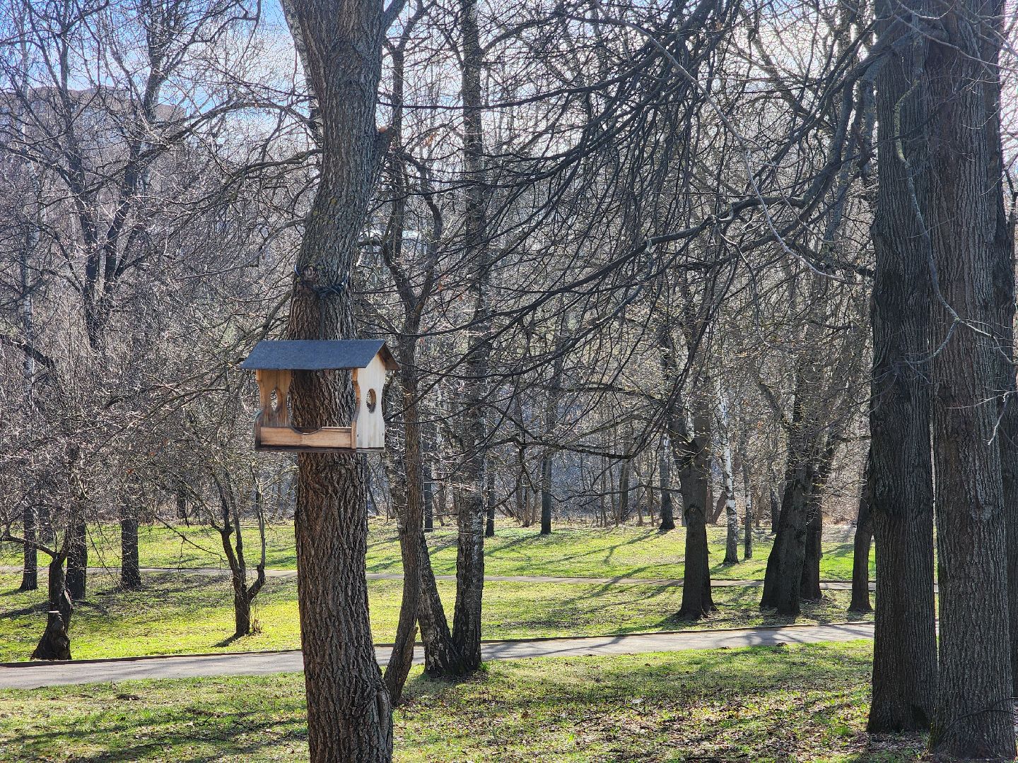 подольск, музей подолье, белки,