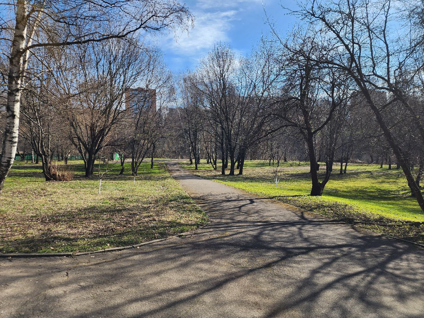 подольск, музей подолье, белки,