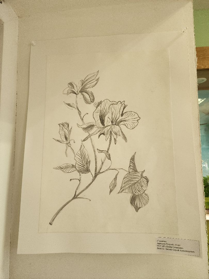 дети, выставка, центр созвездие, шатура,детское творчество,