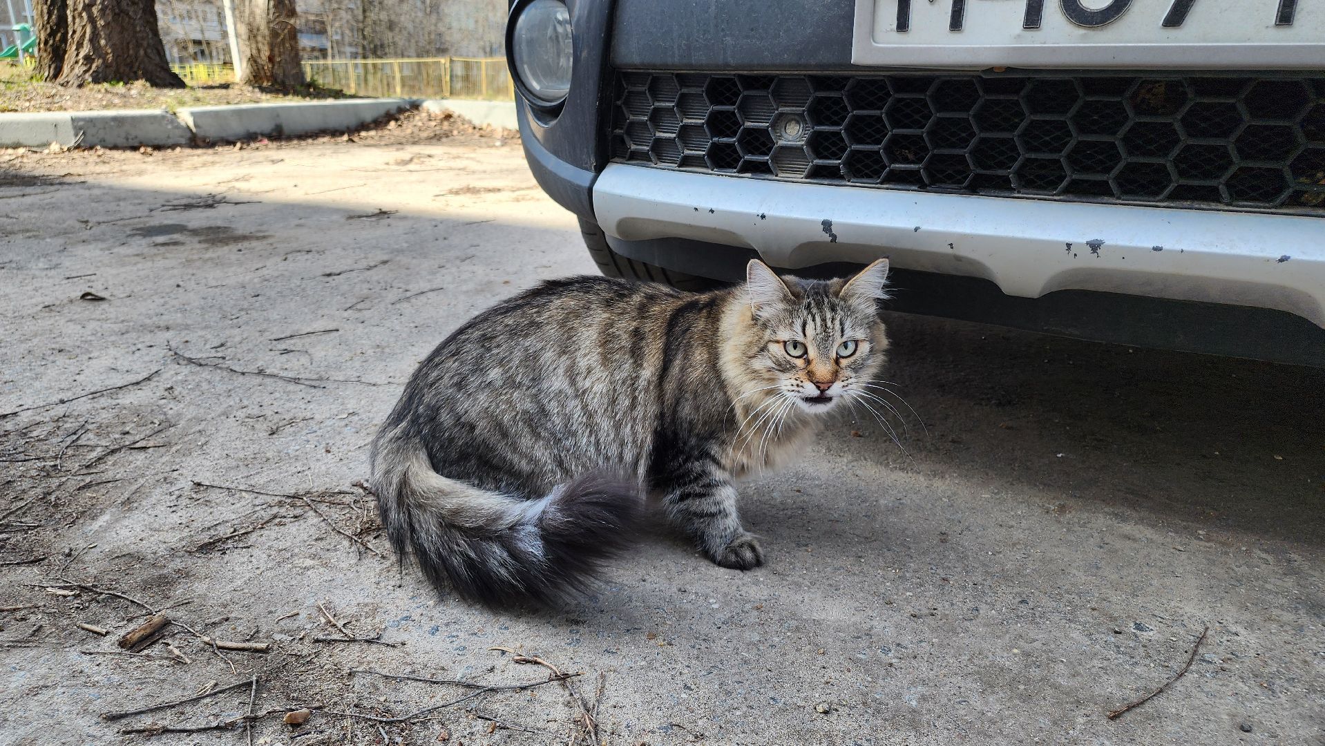 кашира, жкх, коммунальная служба, уборка, чистота, подъезды, придомовая территория,