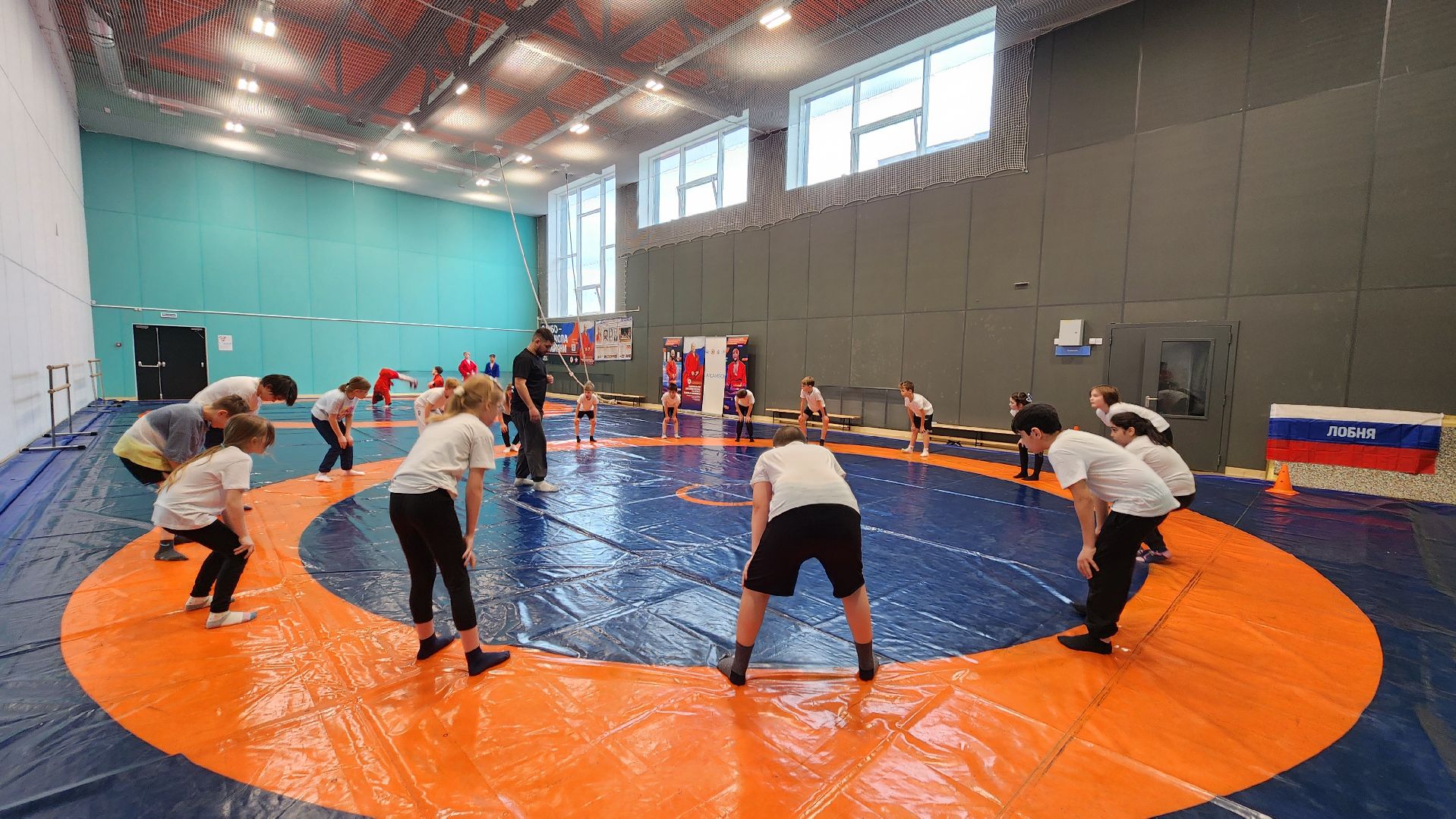 Самбо, Спорт, Лобня, Федерация дзюдо России , Мой первый пояс,