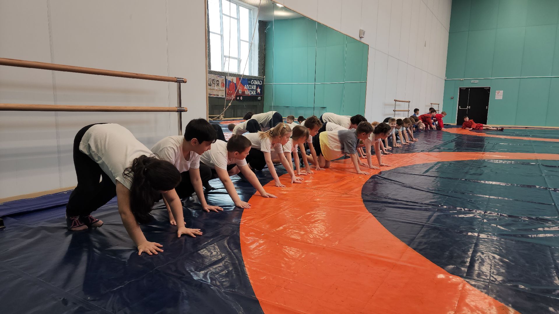 Самбо, Спорт, Лобня, Федерация дзюдо России , Мой первый пояс,