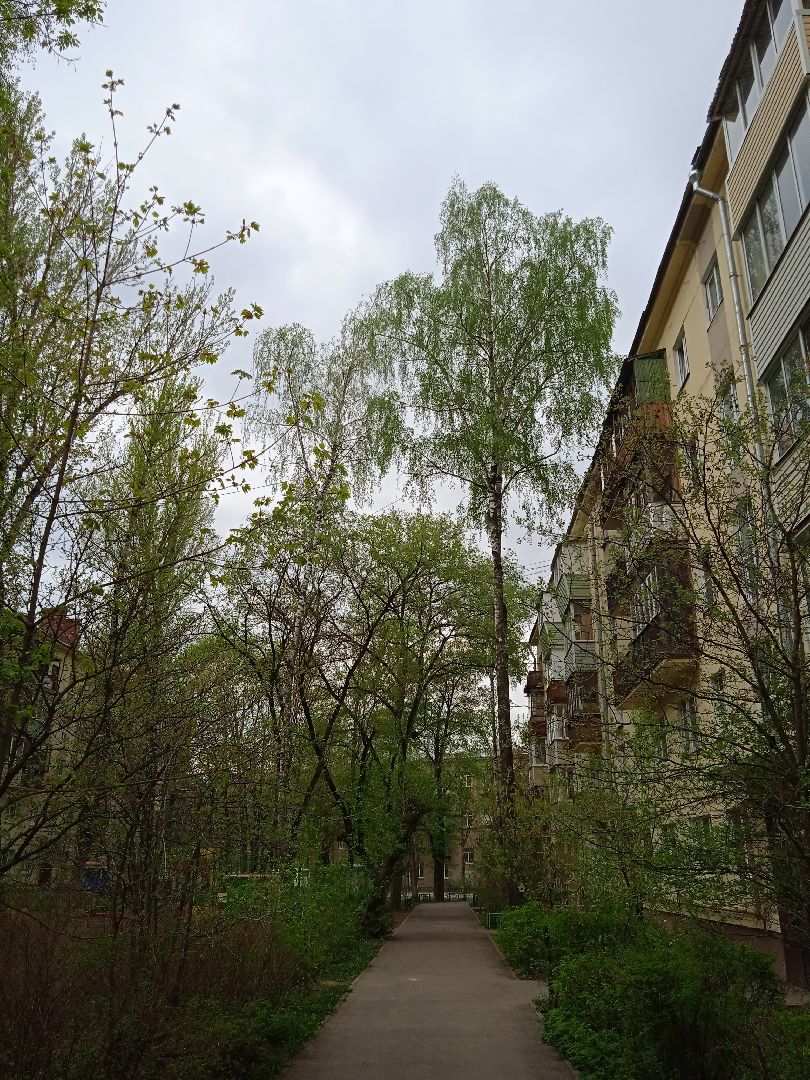 отключение, отопление, отопительный, сезон, завершение