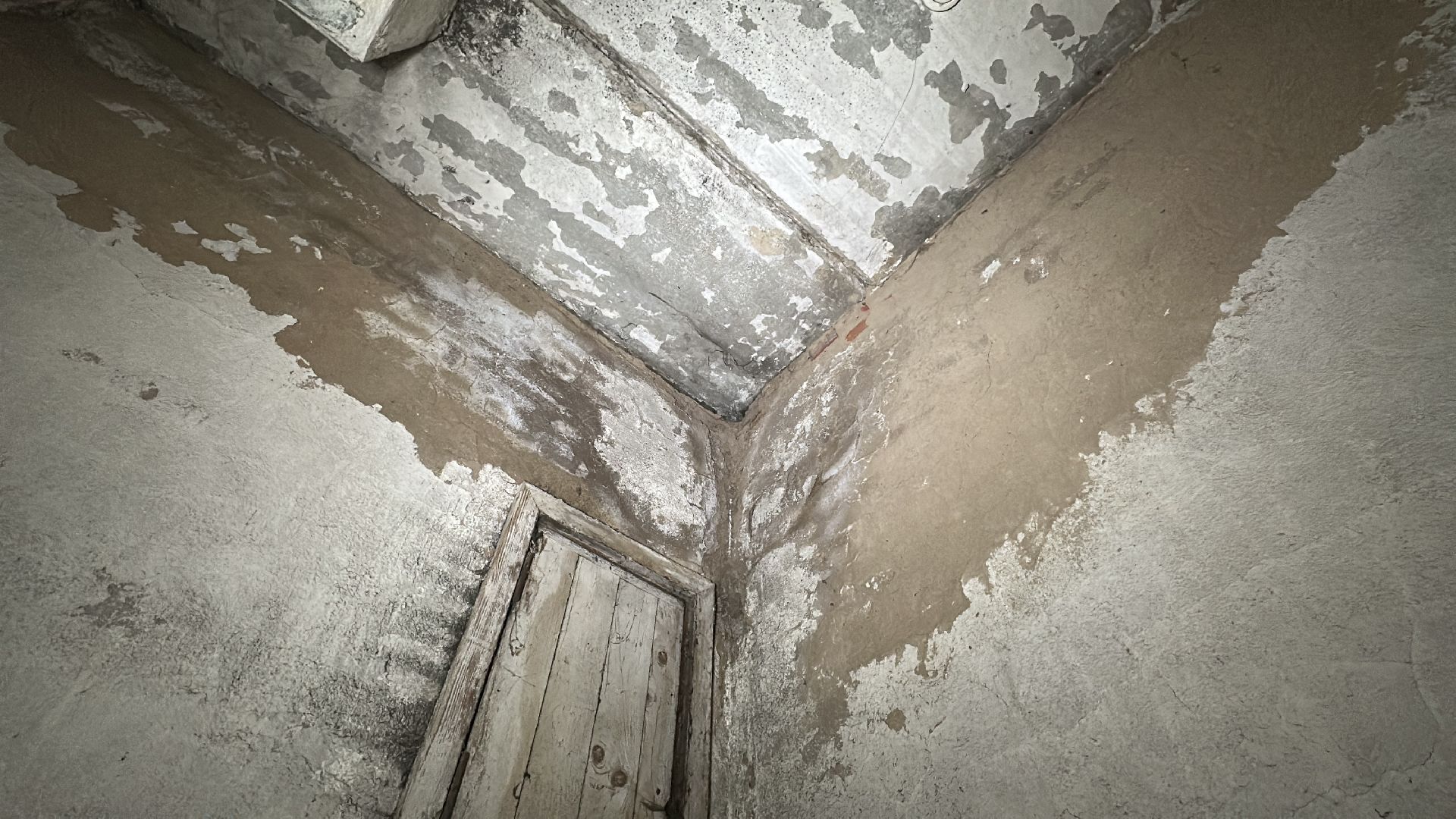 клин, общество, проверка объектов,