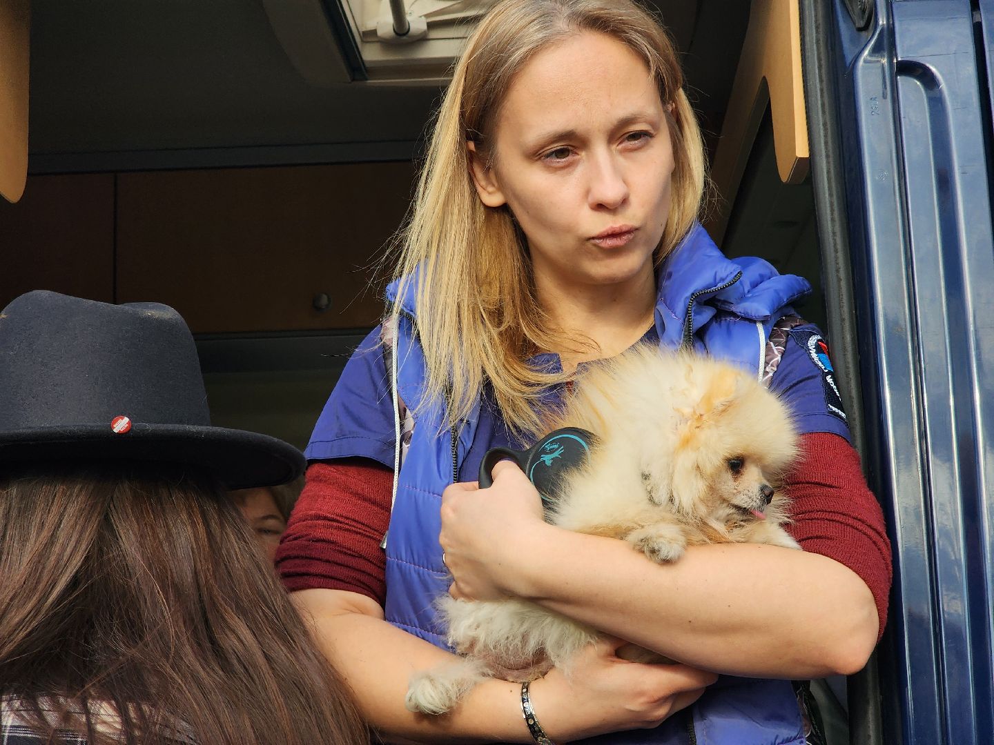 долгопрудный, чипирование домашних животных, вакцинация от бешенства, мобильный пункт вакцинации, парк на молодежной,