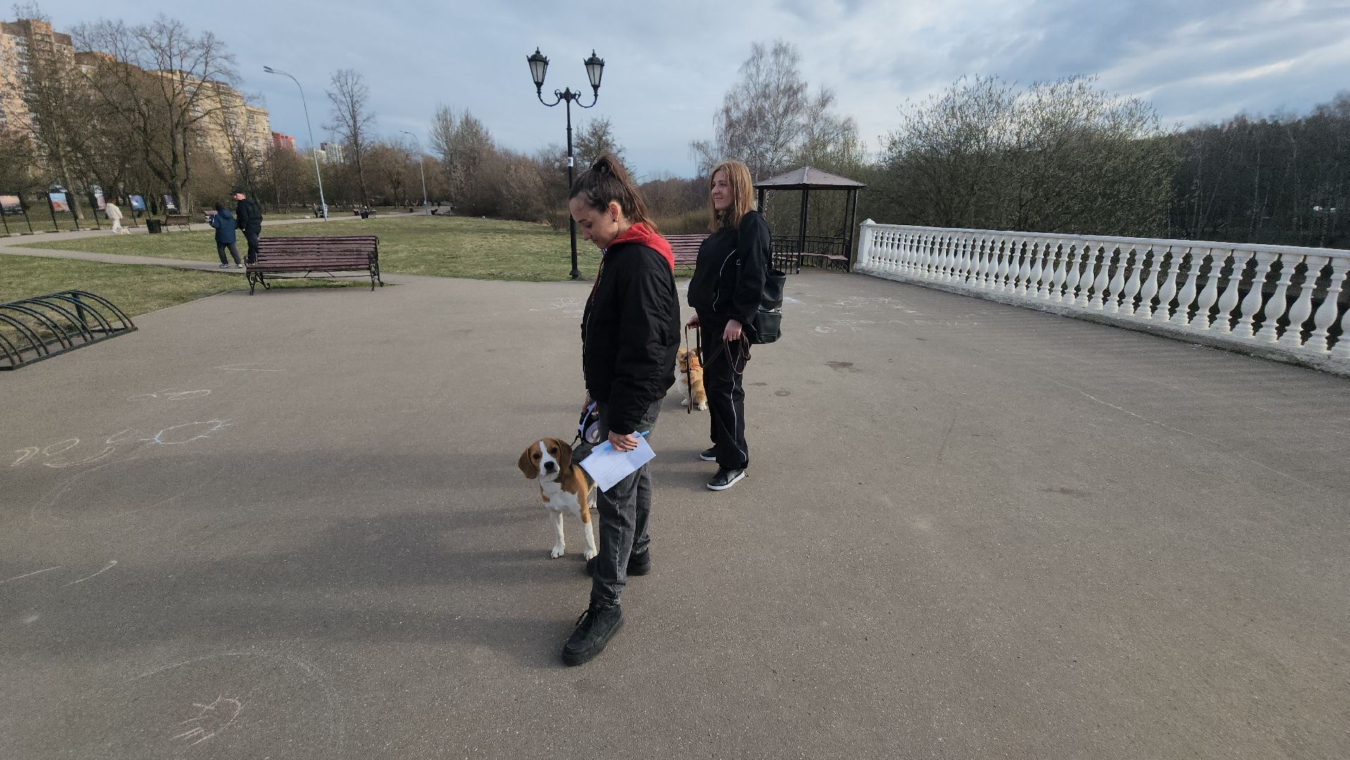 долгопрудный, чипирование домашних животных, вакцинация от бешенства, мобильный пункт вакцинации, парк на молодежной,