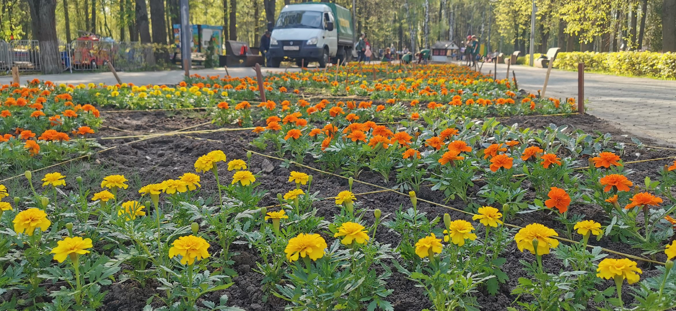 благоустройство, озеленение,