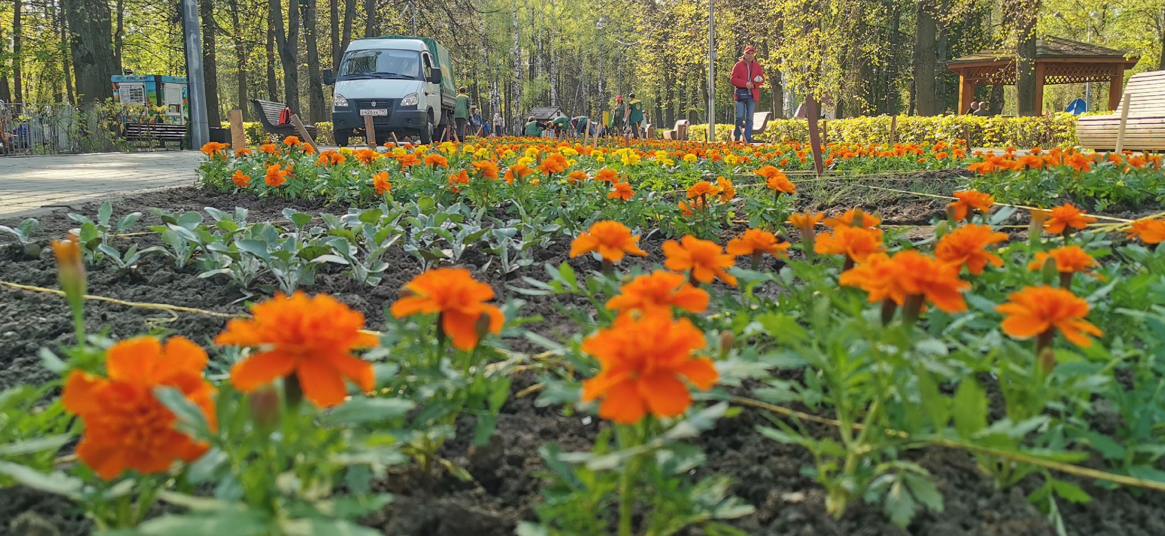 благоустройство, озеленение,