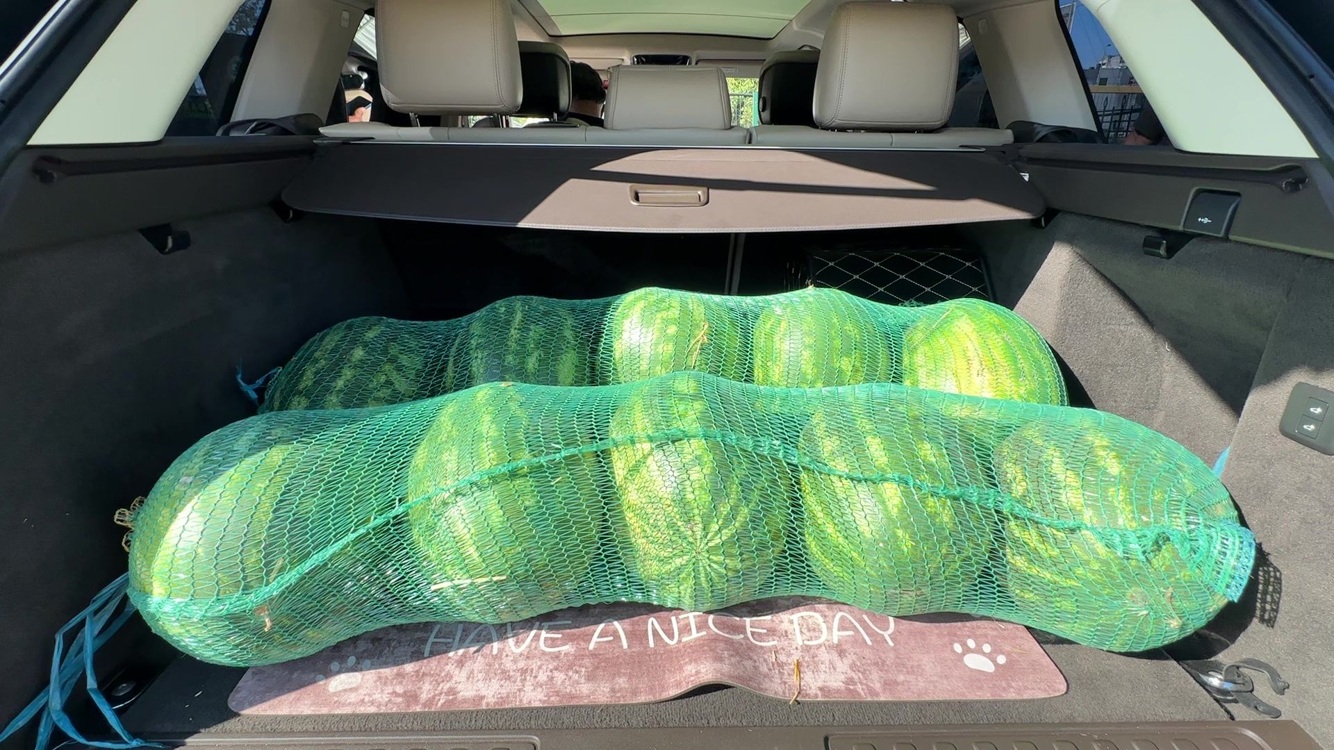 Реутов, эко-пункты, экология, вторая жизнь вещей,