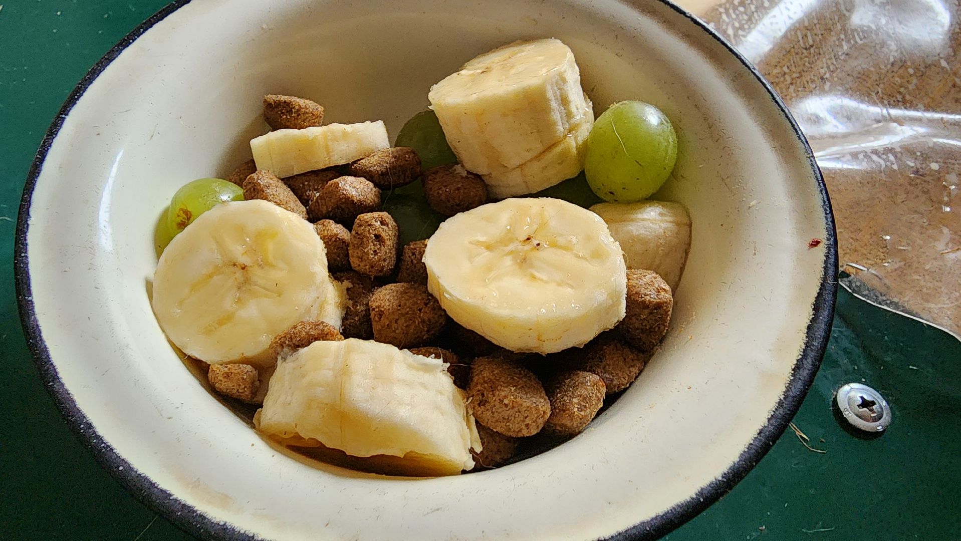 руза, рузская аляска, хаски-деревня, енот, туризм,