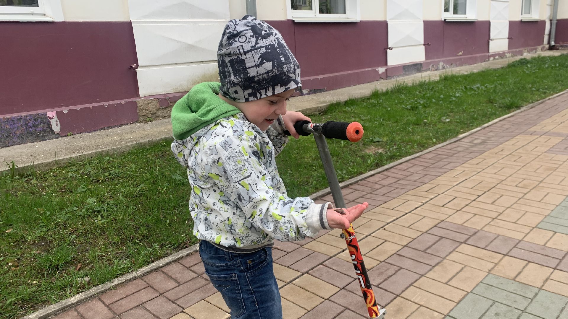 Ступино, майский жук, хрущ