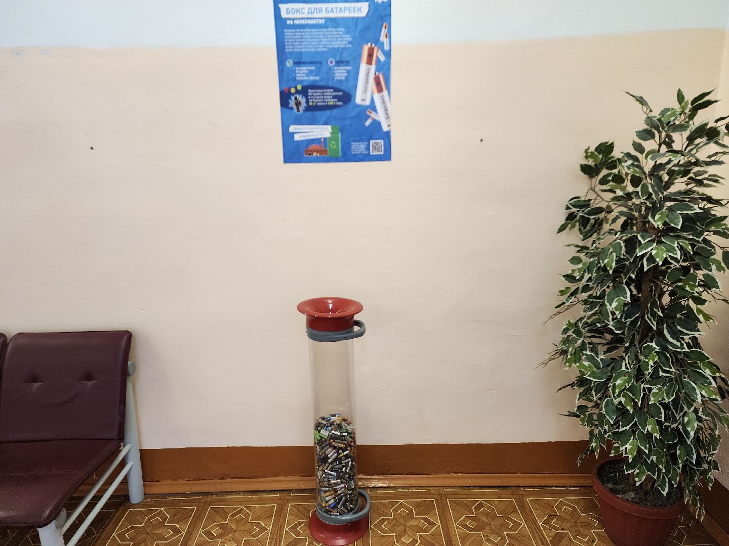 дети, экология шатуры, шатура, шатурский лицей, шатурская грэс,переработка батареек,