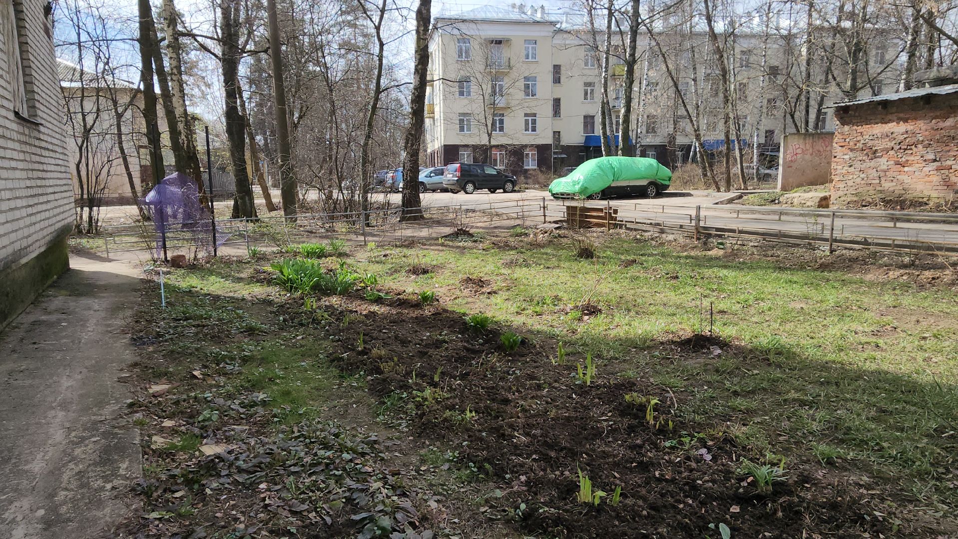 вертикалки, пушкино, западный, сад, газон, газонные ограждения,житель города,благоустройство,цветы, растения,