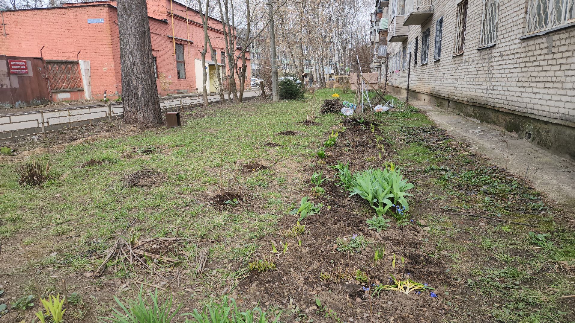вертикалки, пушкино, западный, сад, газон, газонные ограждения,житель города,благоустройство,цветы, растения,