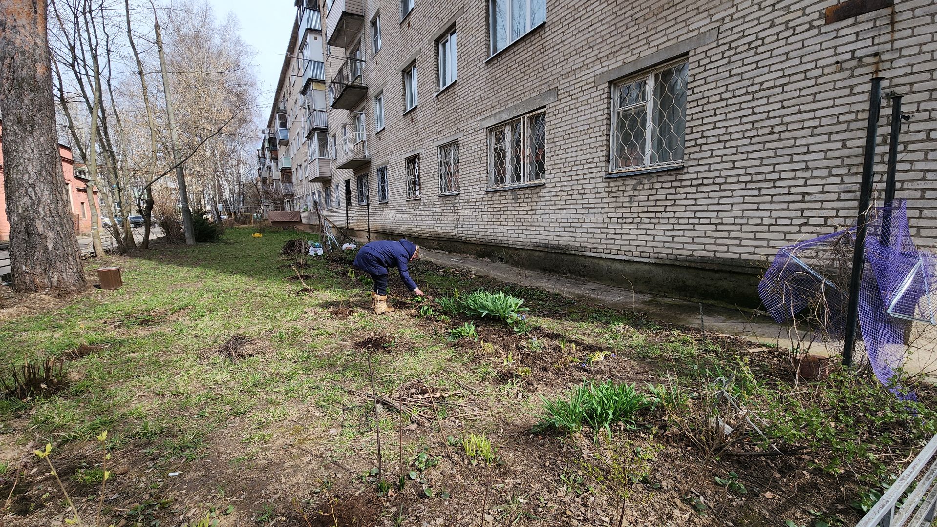 вертикалки, пушкино, западный, сад, газон, газонные ограждения,житель города,благоустройство,цветы, растения,