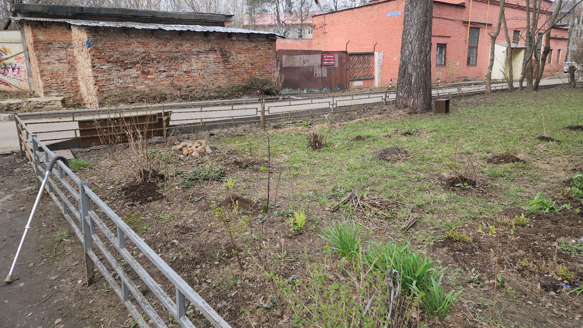 вертикалки, пушкино, западный, сад, газон, газонные ограждения,житель города,благоустройство,цветы, растения,