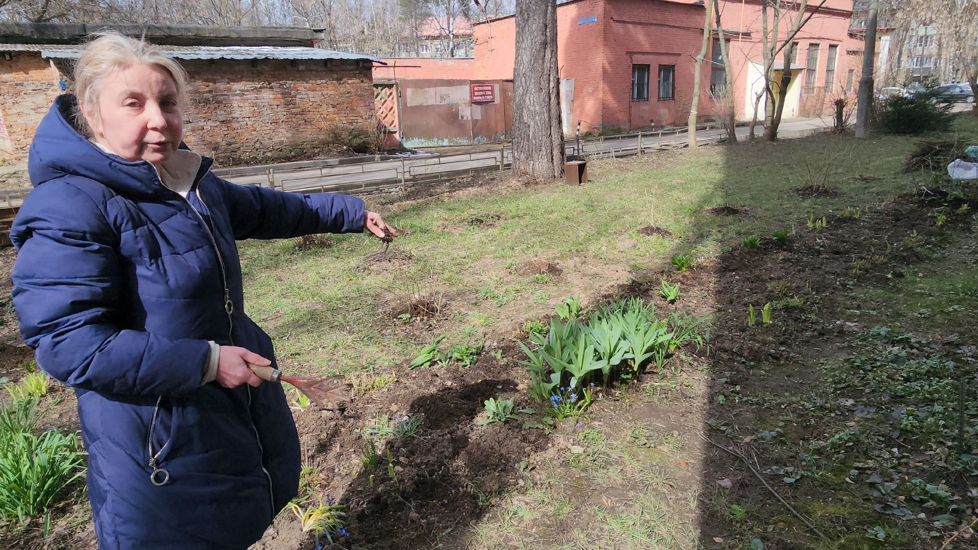 вертикалки, пушкино, западный, сад, газон, газонные ограждения,житель города,благоустройство,цветы, растения,