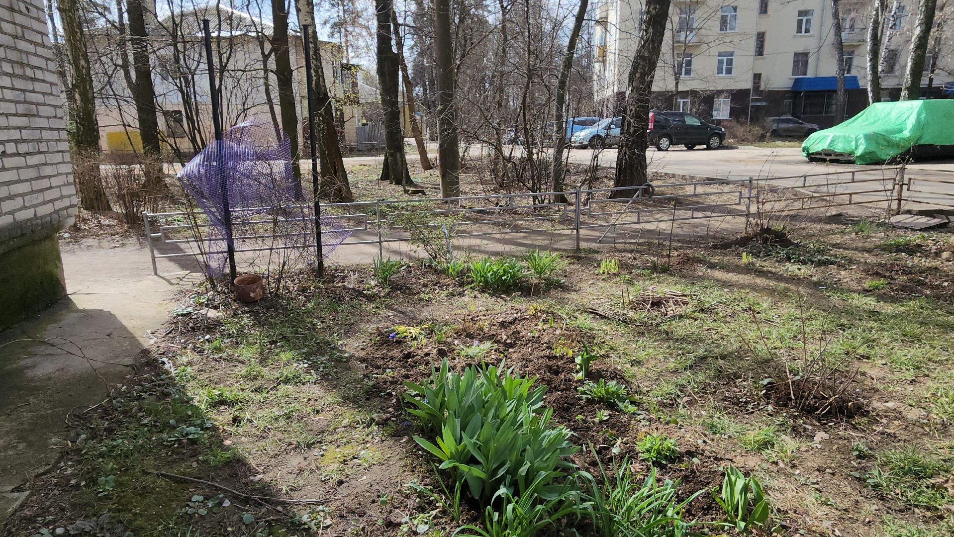 вертикалки, пушкино, западный, сад, газон, газонные ограждения,житель города,благоустройство,цветы, растения,
