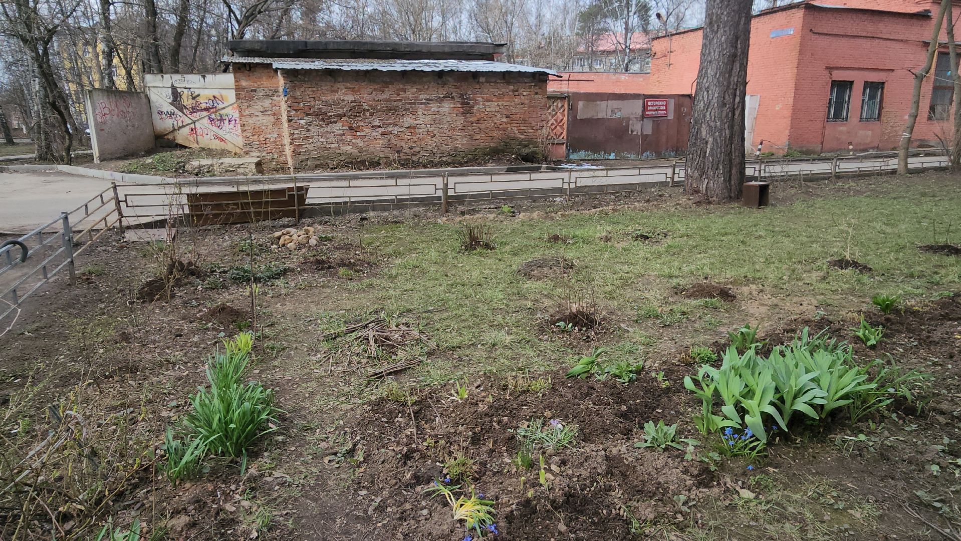 вертикалки, пушкино, западный, сад, газон, газонные ограждения,житель города,благоустройство,цветы, растения,