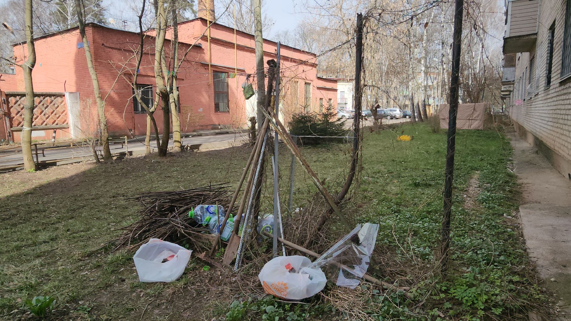 вертикалки, пушкино, западный, сад, газон, газонные ограждения,житель города,благоустройство,цветы, растения,