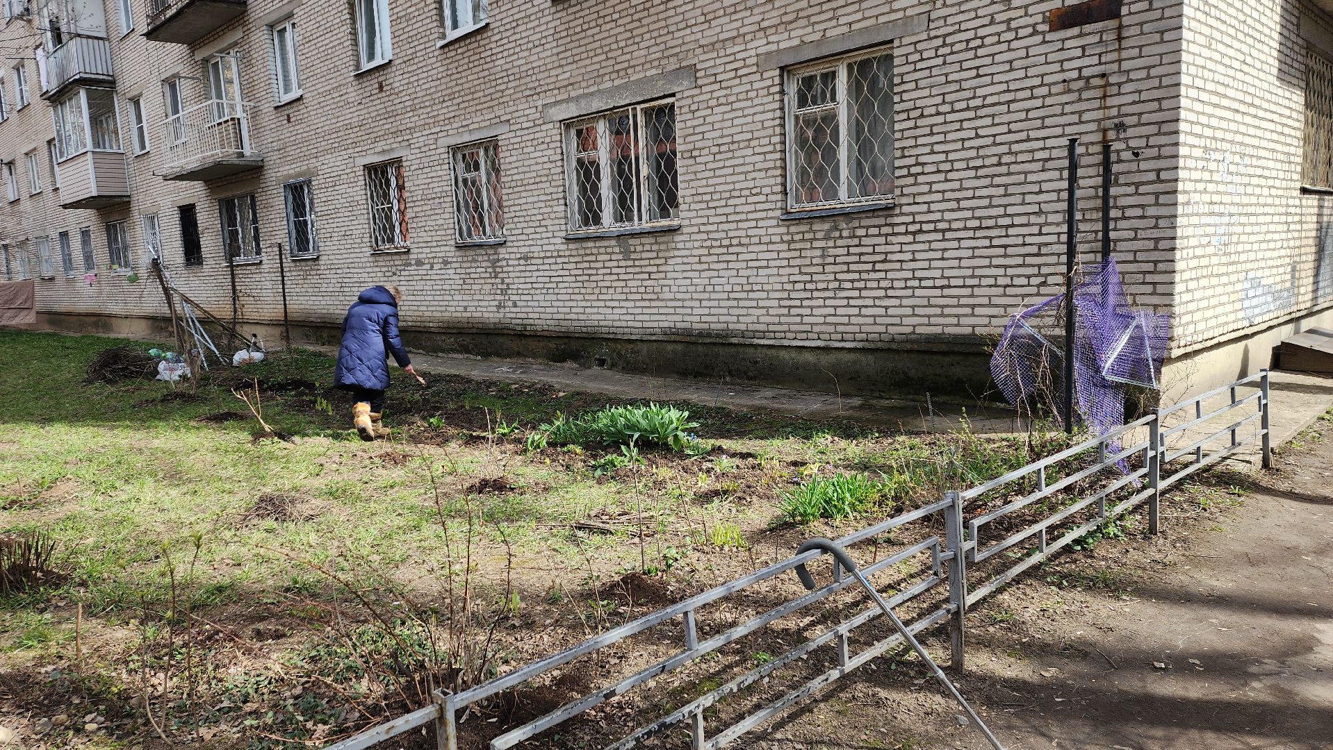 вертикалки, пушкино, западный, сад, газон, газонные ограждения,житель города,благоустройство,цветы, растения,
