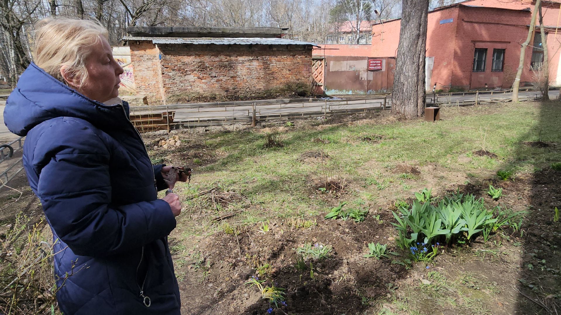 вертикалки, пушкино, западный, сад, газон, газонные ограждения,житель города,благоустройство,цветы, растения,