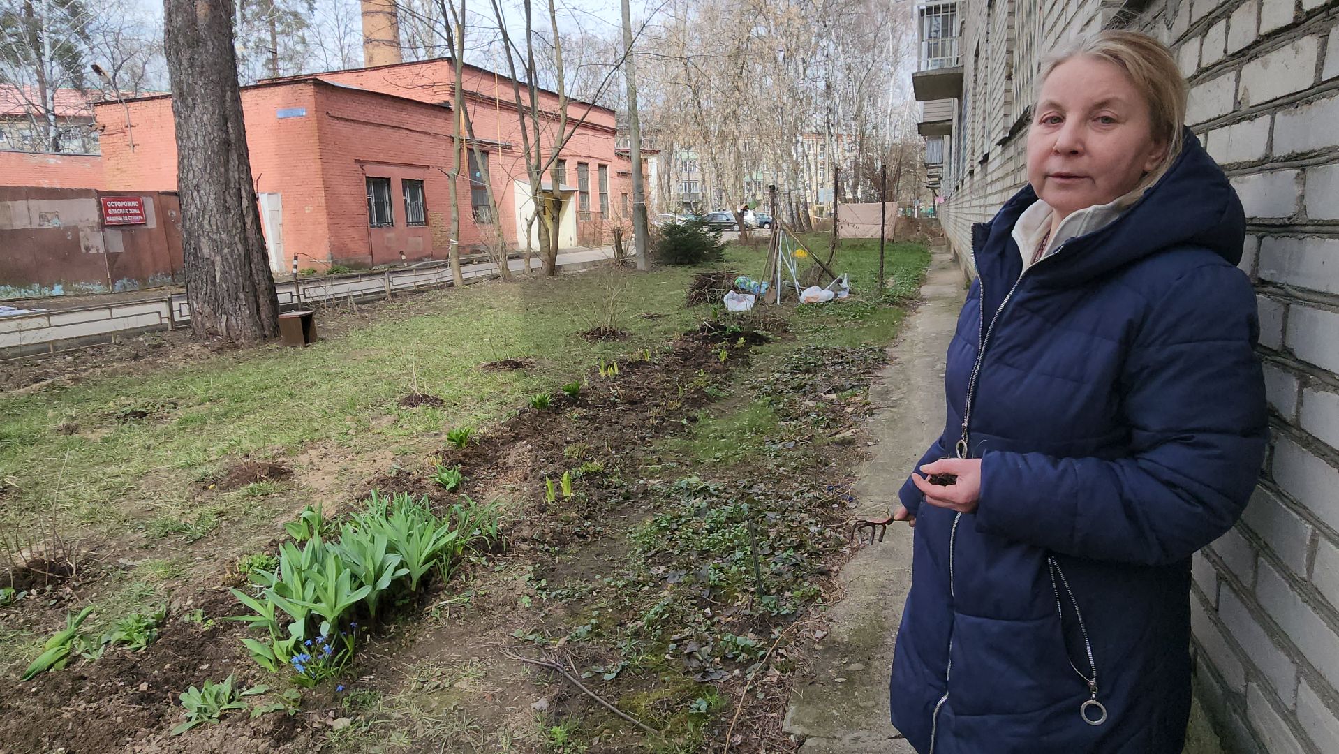 вертикалки, пушкино, западный, сад, газон, газонные ограждения,житель города,благоустройство,цветы, растения,