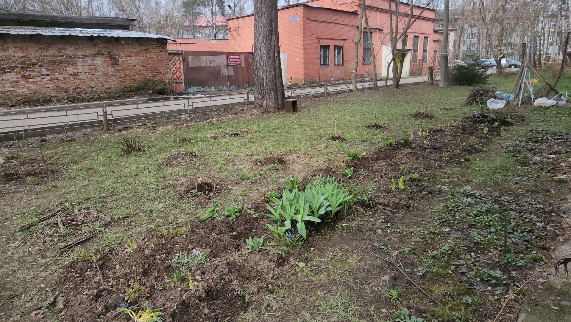 вертикалки, пушкино, западный, сад, газон, газонные ограждения,житель города,благоустройство,цветы, растения,