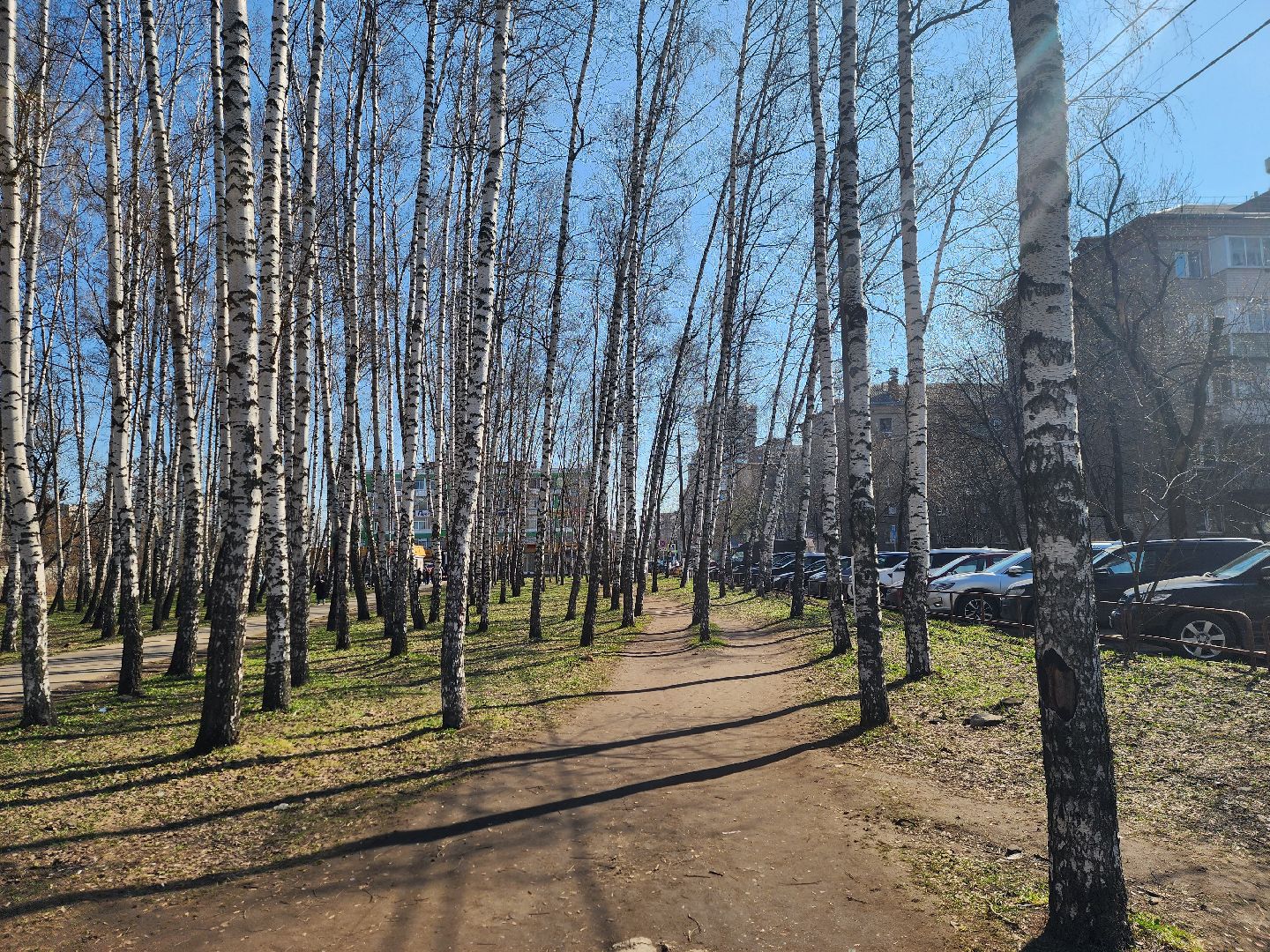 королёв, дорожные знаки во дворах, безопасность, благоустройство города,