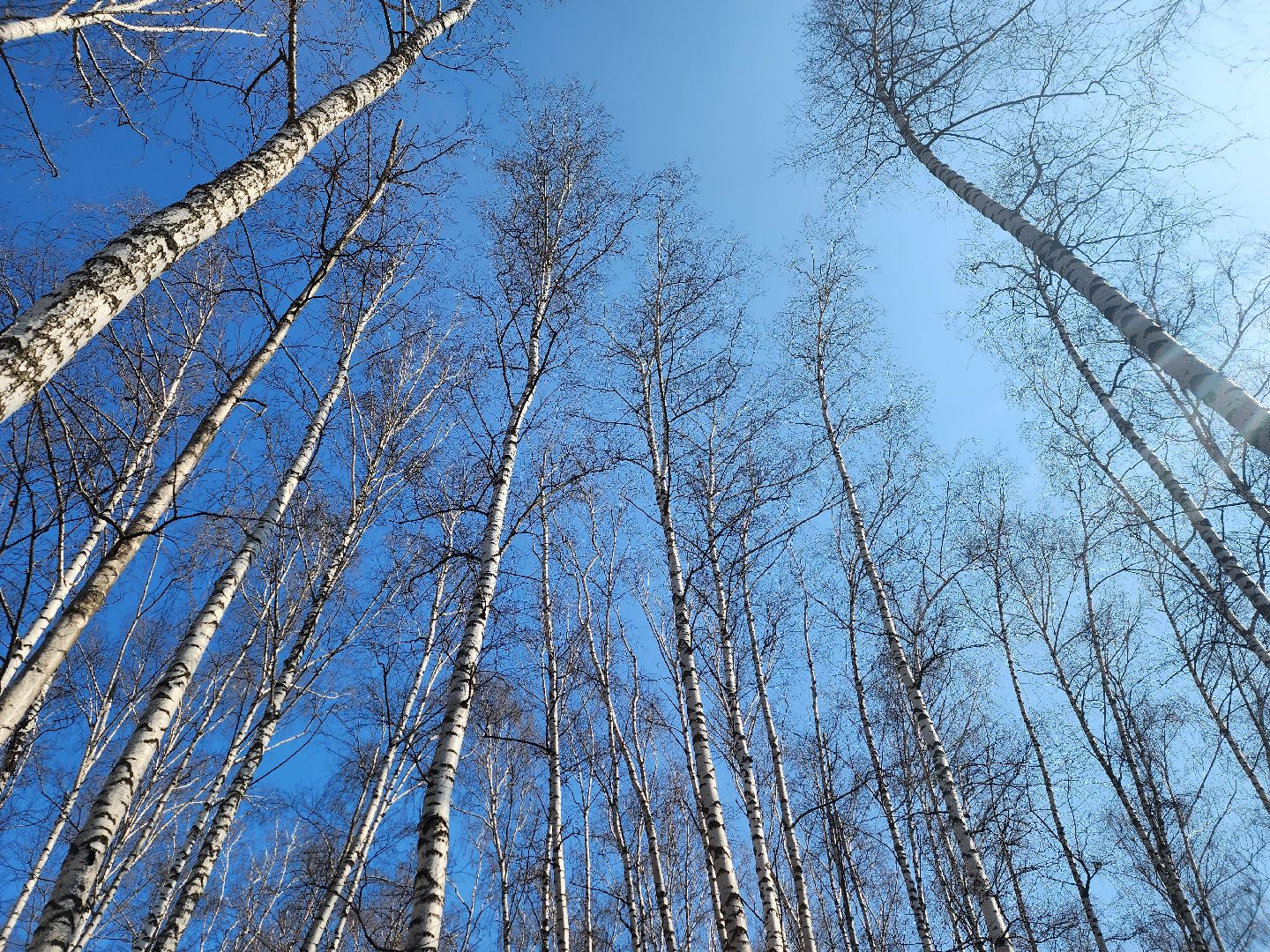 королёв, дорожные знаки во дворах, безопасность, благоустройство города,