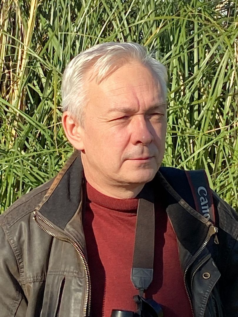 раменское , усадьба быково, совы, неясыть,