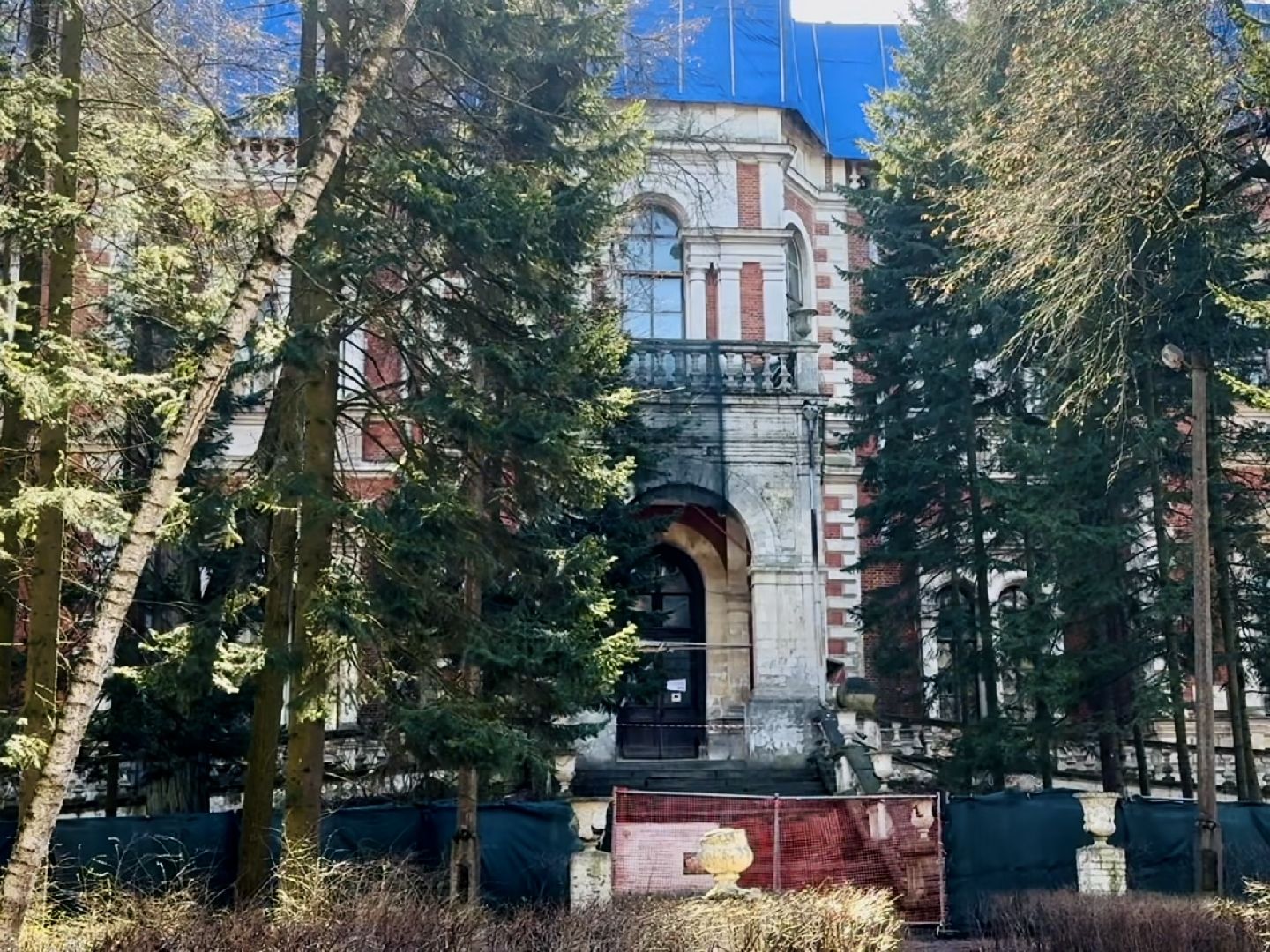 раменское , усадьба быково, совы, неясыть,