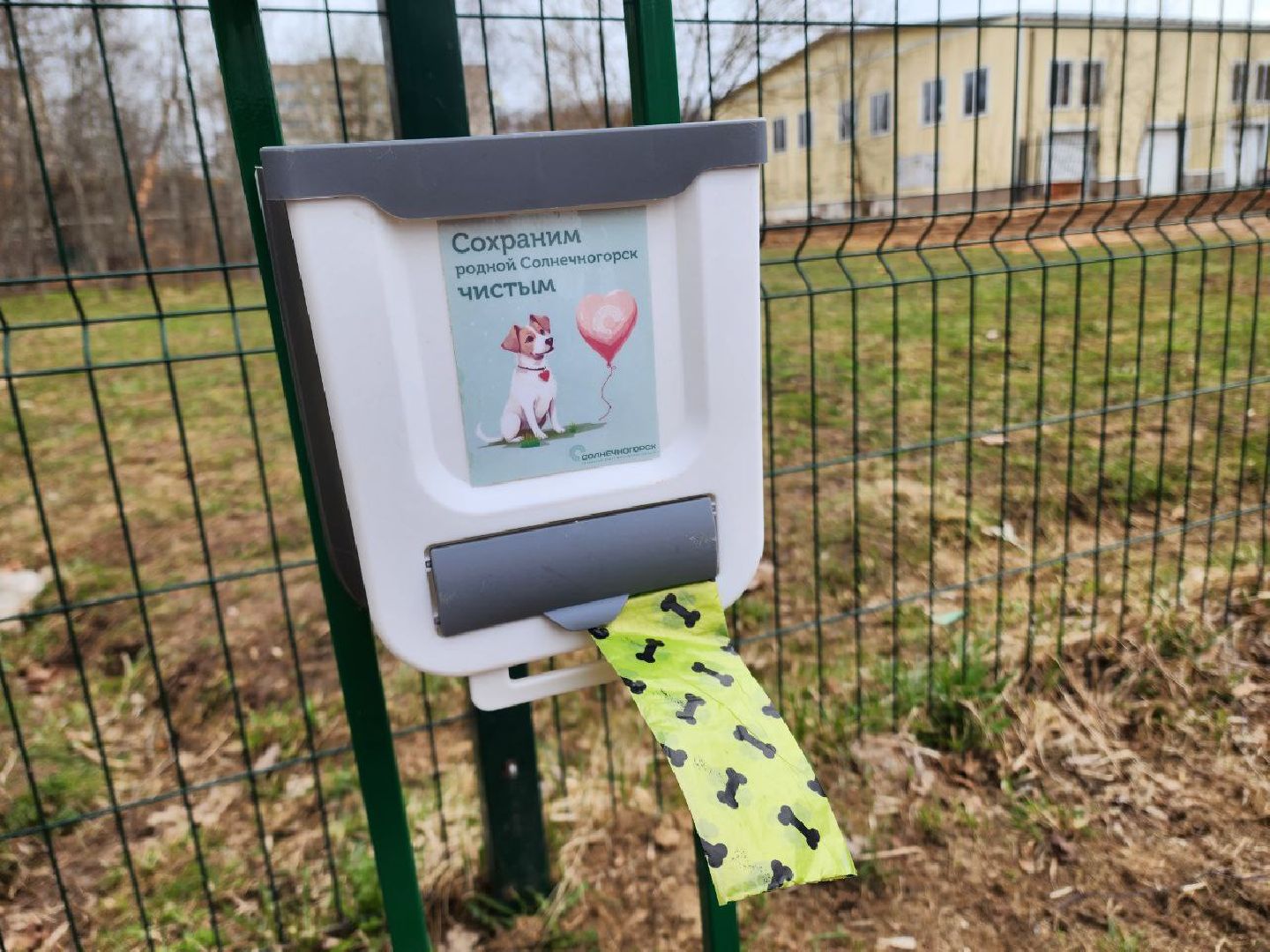 солнечногорск, выгул собак, жители, урны для уборки, питомец,