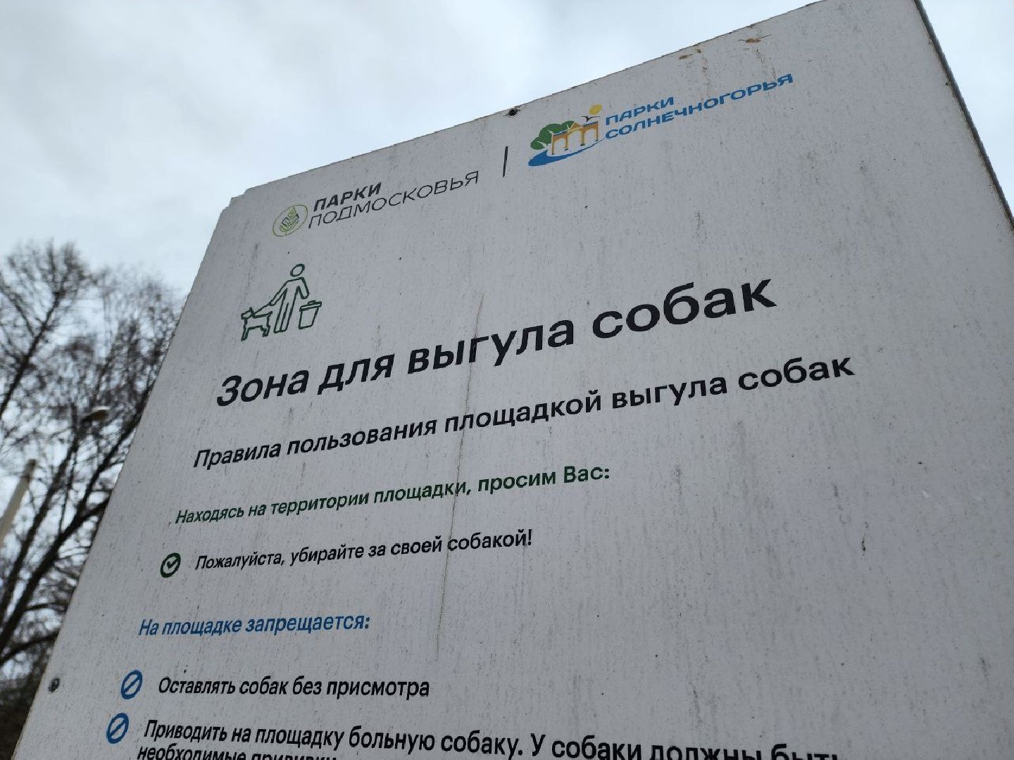 солнечногорск, выгул собак, жители, урны для уборки, питомец,