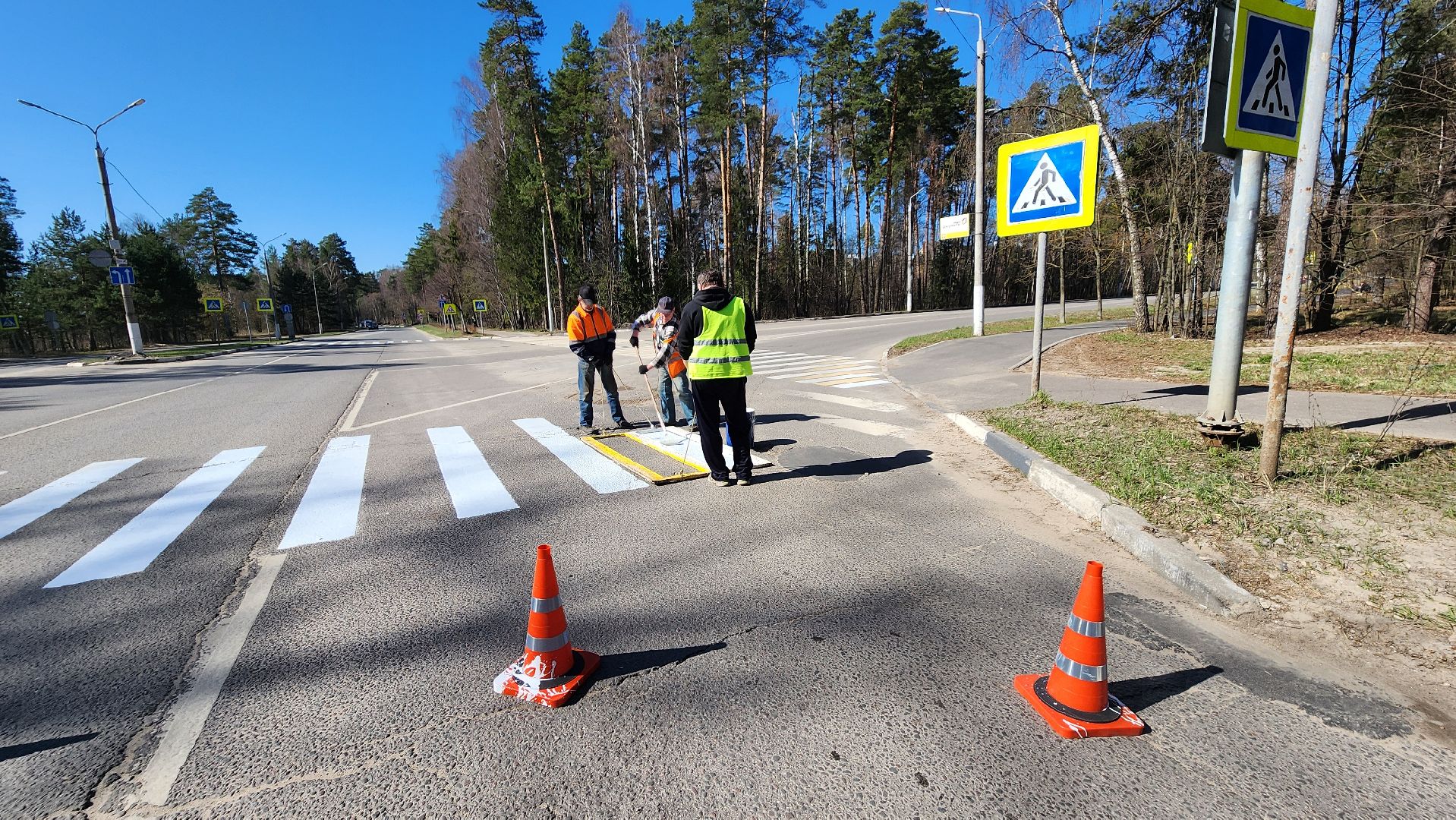 дорожная разметка, протвино, зебра,