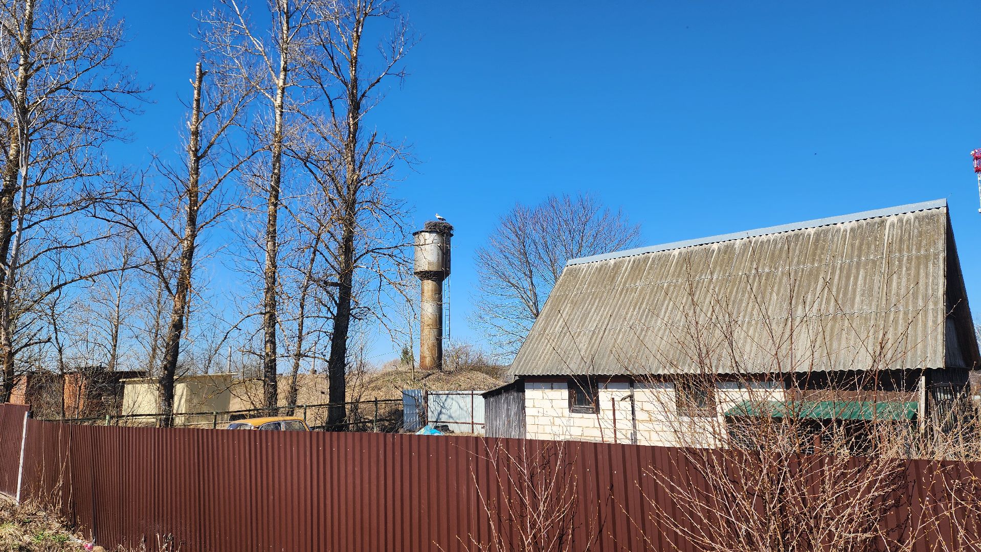 Руза, Экология, Аисты , Орешки ,