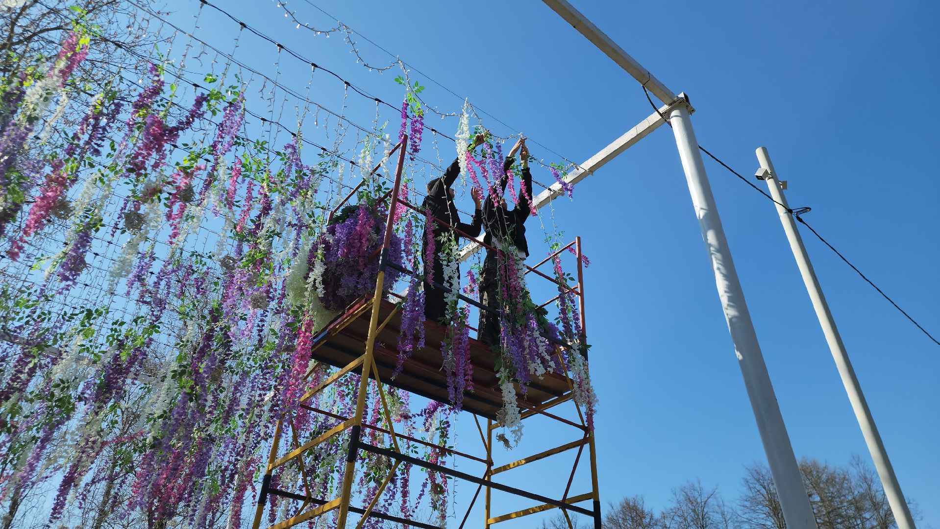 Парк, Истра, Украшение,