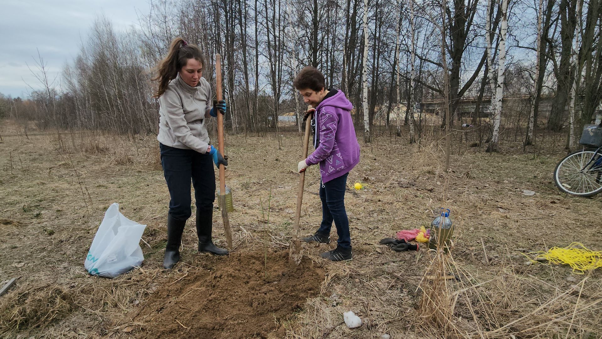 пушкино, микрорайон, высадка деревьев, сосна, ель, дуб, клен, калина, волонтеры, жители, активисты,