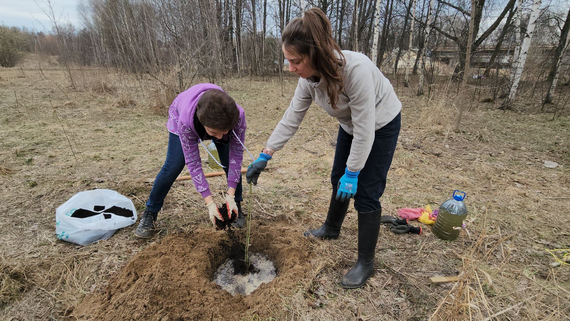 пушкино, микрорайон, высадка деревьев, сосна, ель, дуб, клен, калина, волонтеры, жители, активисты,