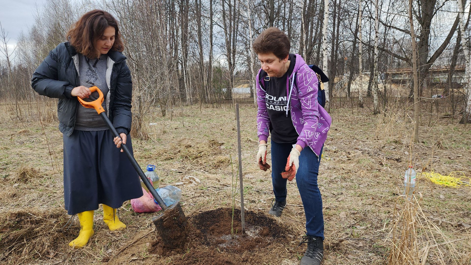 пушкино, микрорайон, высадка деревьев, сосна, ель, дуб, клен, калина, волонтеры, жители, активисты,