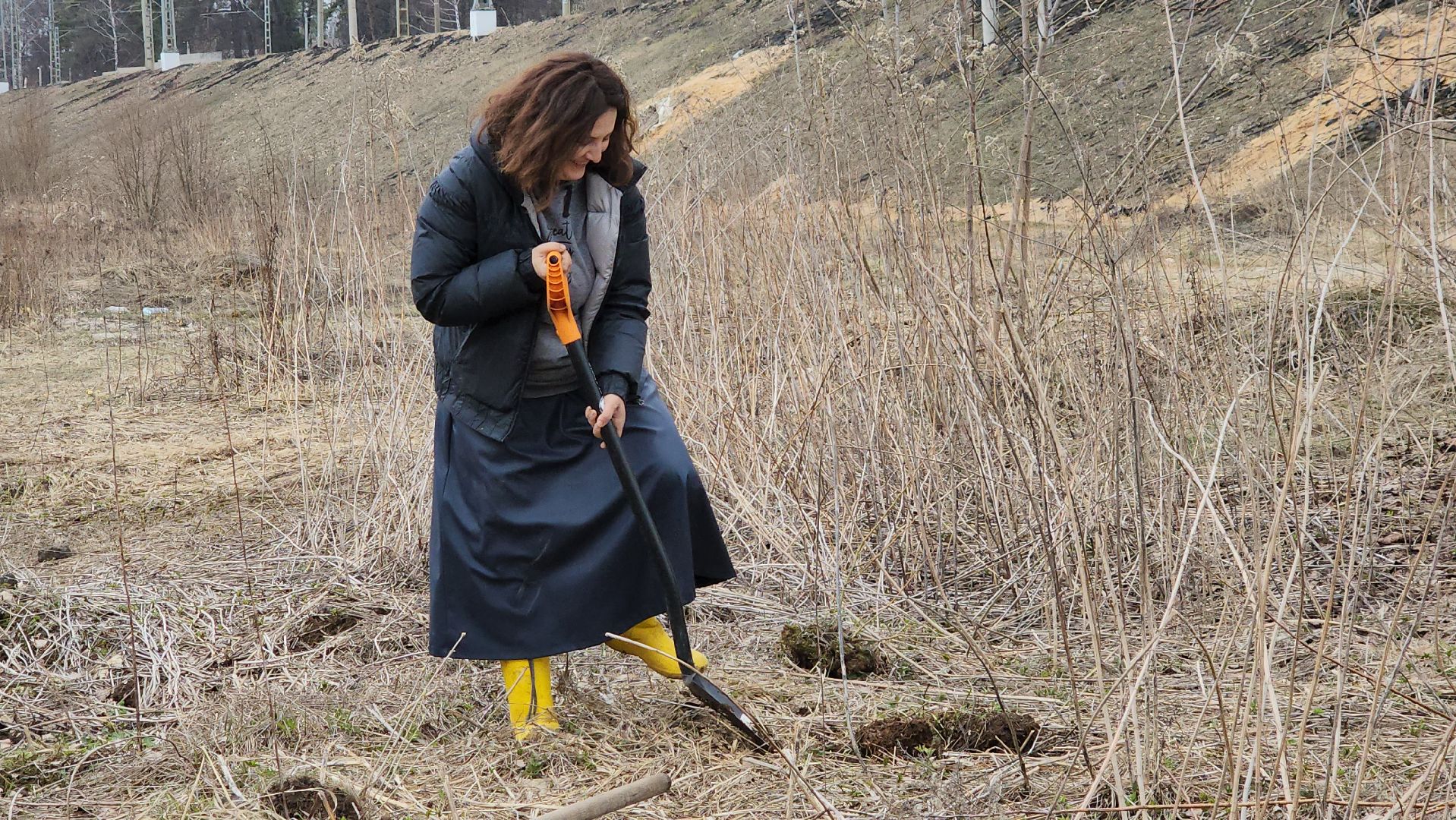 пушкино, микрорайон, высадка деревьев, сосна, ель, дуб, клен, калина, волонтеры, жители, активисты,