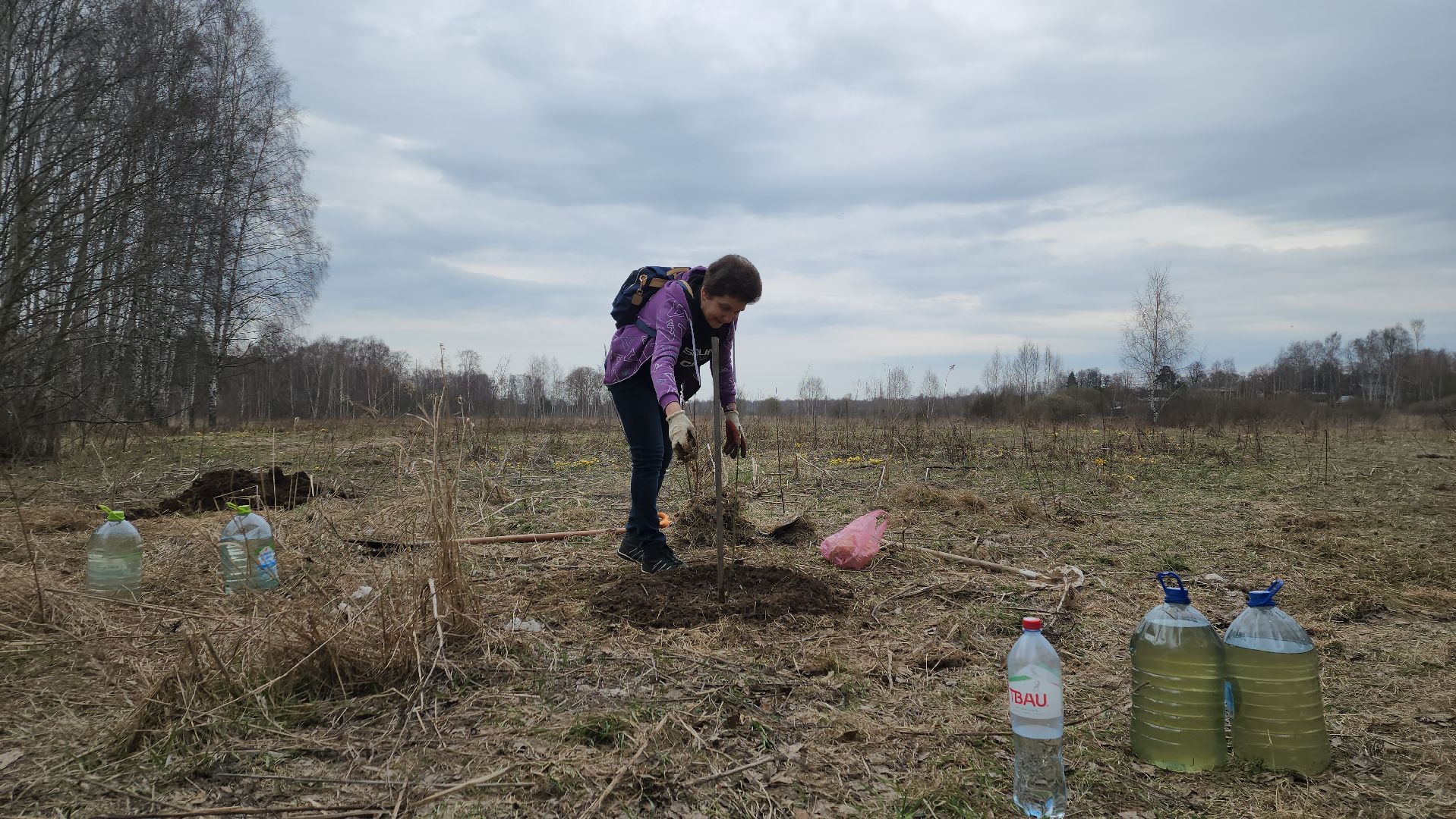пушкино, микрорайон, высадка деревьев, сосна, ель, дуб, клен, калина, волонтеры, жители, активисты,